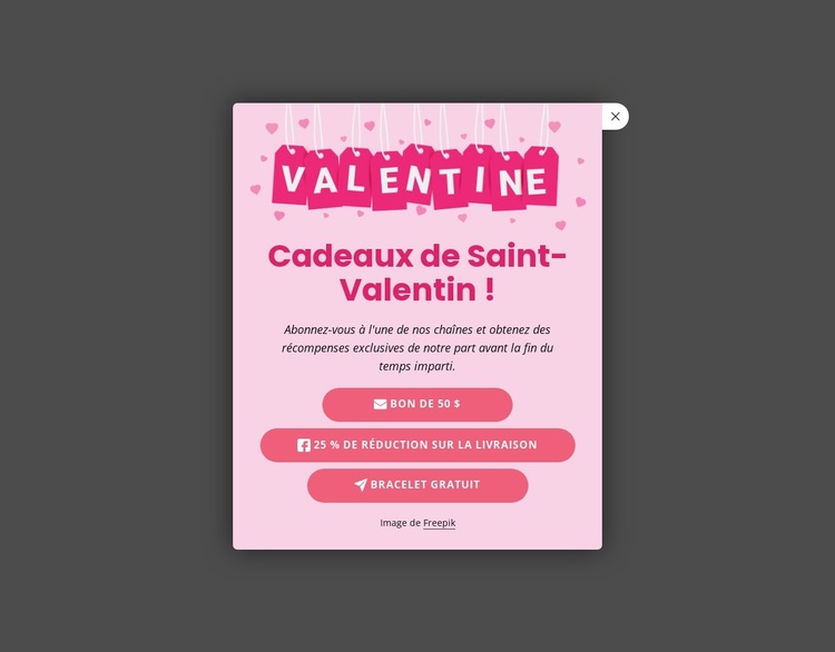 Remises à durée limitée Thème WordPress