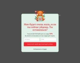 Всплывающее Окно Подписки