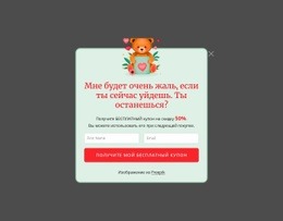 Всплывающее Окно Подписки