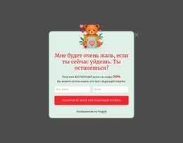 Всплывающее Окно Подписки