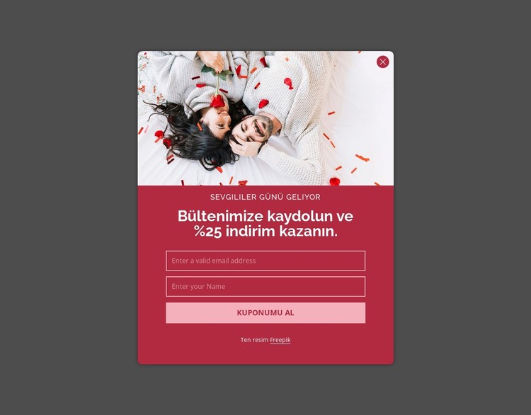 %25 indiriminizi alın CSS Şablonu