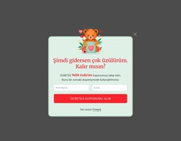 Abonelik Açılır Penceresi