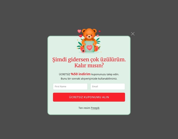 Abonelik açılır penceresi Web Sitesi Şablonu