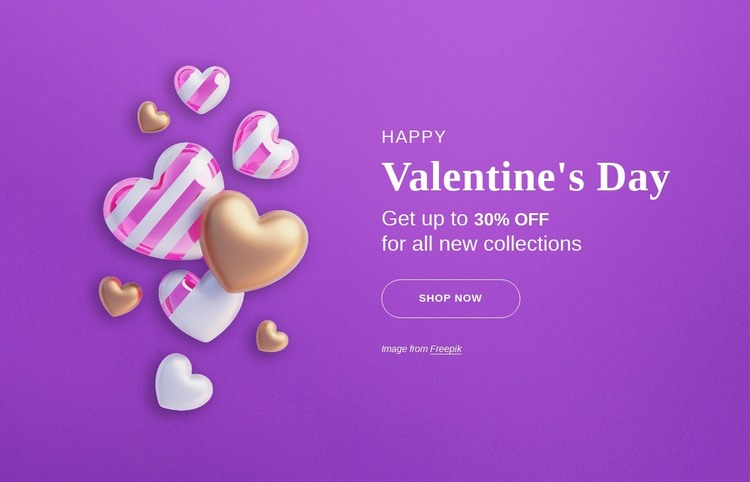Get up to 30% off for all new collections WordPress Theme