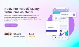 Služba Virtuálního Asistenta