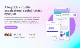 Virtuális Asszisztens Szolgáltatás