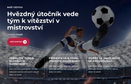 Mladý Talent Září Jasně