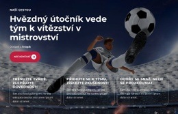 Mladý Talent Září Jasně