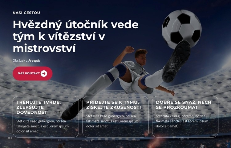 Mladý talent září jasně Šablona