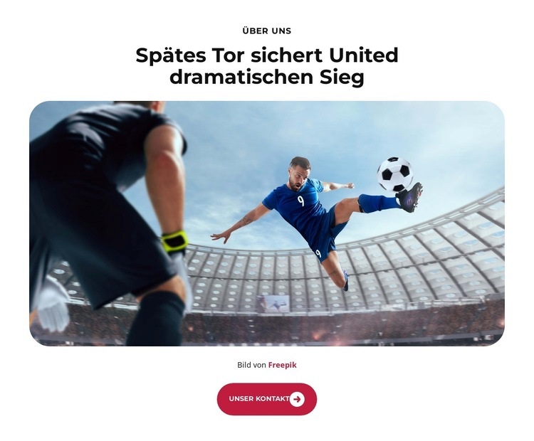 Trainer enthüllt Erfolgsstrategie Website design