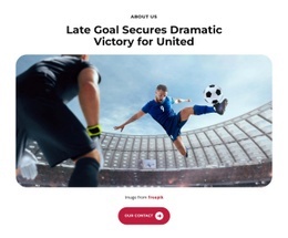 Coach Reveals Winning Strategy - Html Code Example by Nicepage