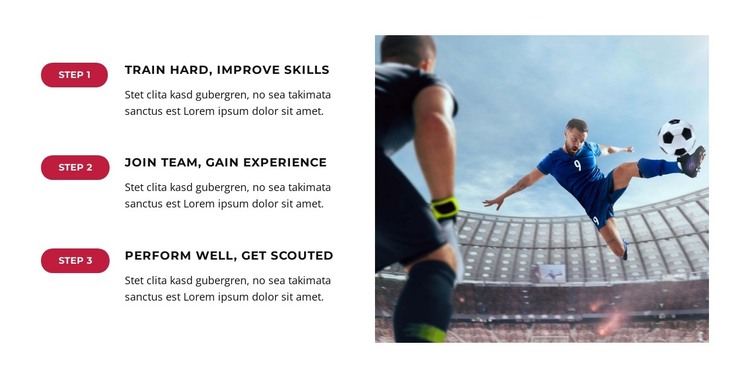 Fans Celebrate Historic Win HTML Template