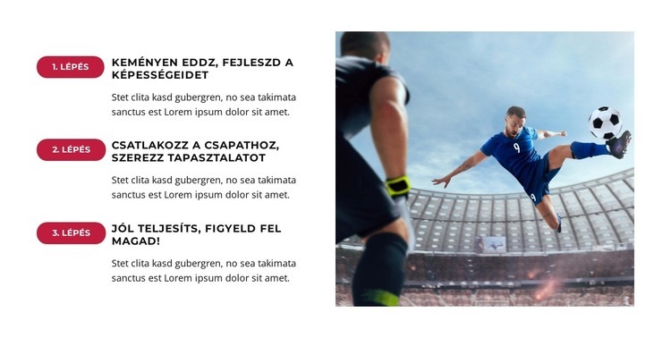 A szurkolók történelmi győzelmet ünnepeltek Sablon