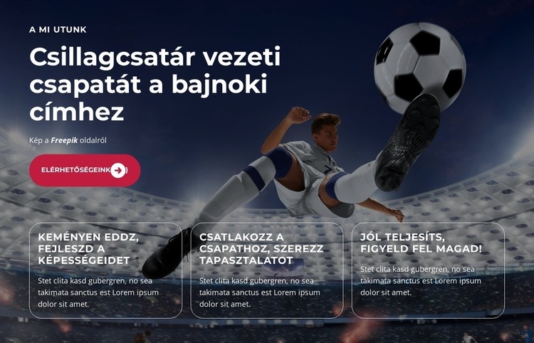 Fiatal tehetség ragyog Weboldal tervezés