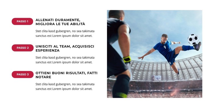 I tifosi celebrano la vittoria storica Modello CSS