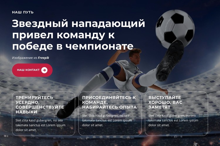 Молодой талант сияет ярко CSS шаблон