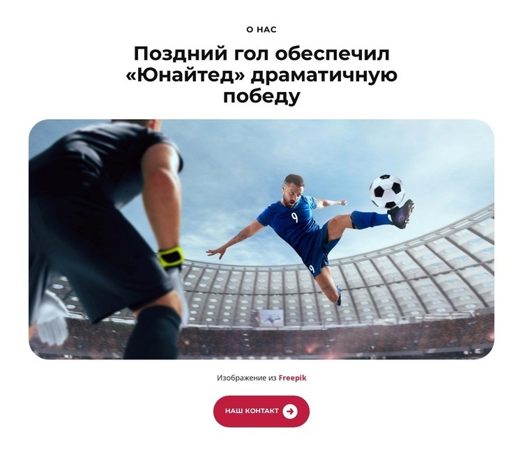 Тренер раскрывает выигрышную стратегию Одностраничный шаблон