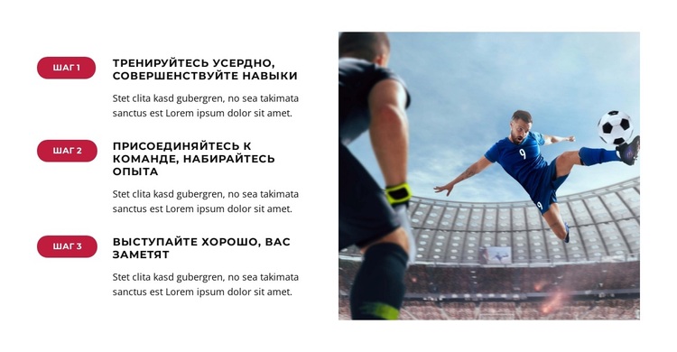 Болельщики празднуют историческую победу WordPress тема