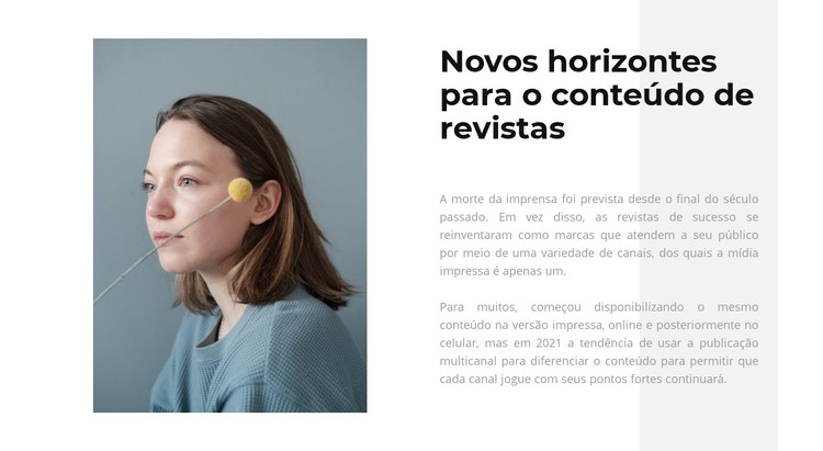 Nova ideia para uma loja Template CSS