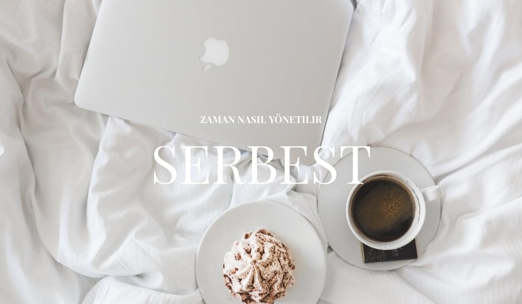 Serbest iş WordPress Teması