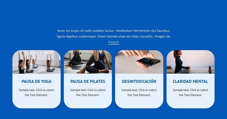 ​Well Being Programs Plantilla