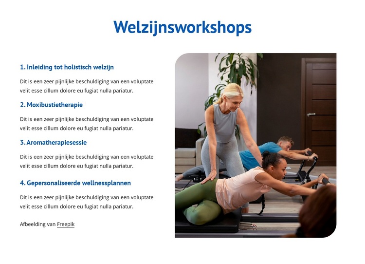 Welzijnsworkshops WordPress-thema