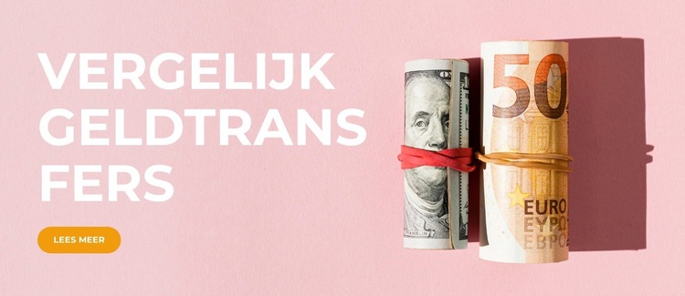 Zie het verschil Website sjabloon