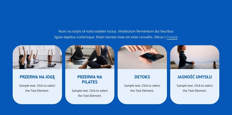 ​Well Being Programs Motyw WordPress