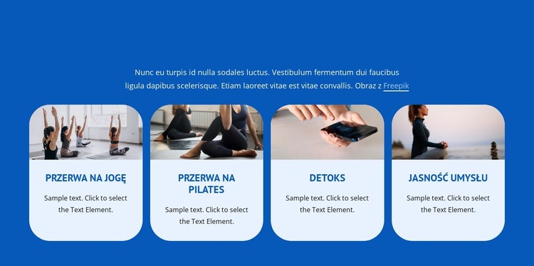 ​Well Being Programs Szablon CSS