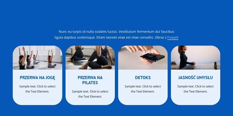 ​Well Being Programs Szablon