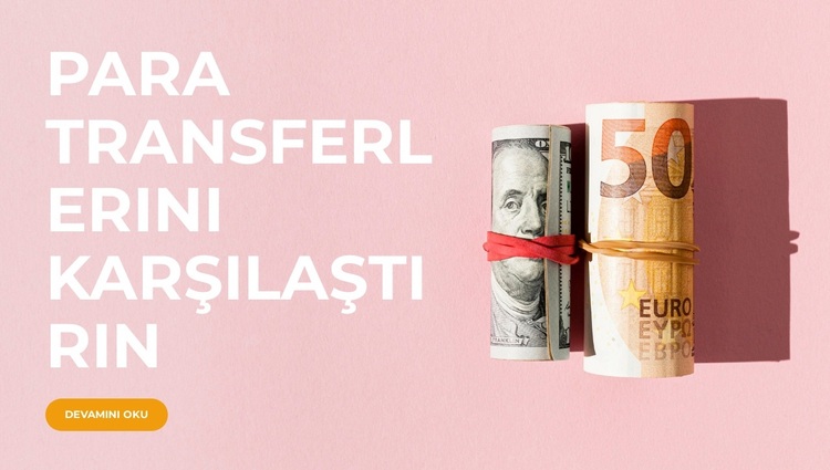 Farkı Görün WordPress Teması