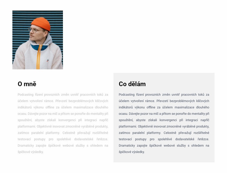 O mně a mých výsledcích Šablona CSS