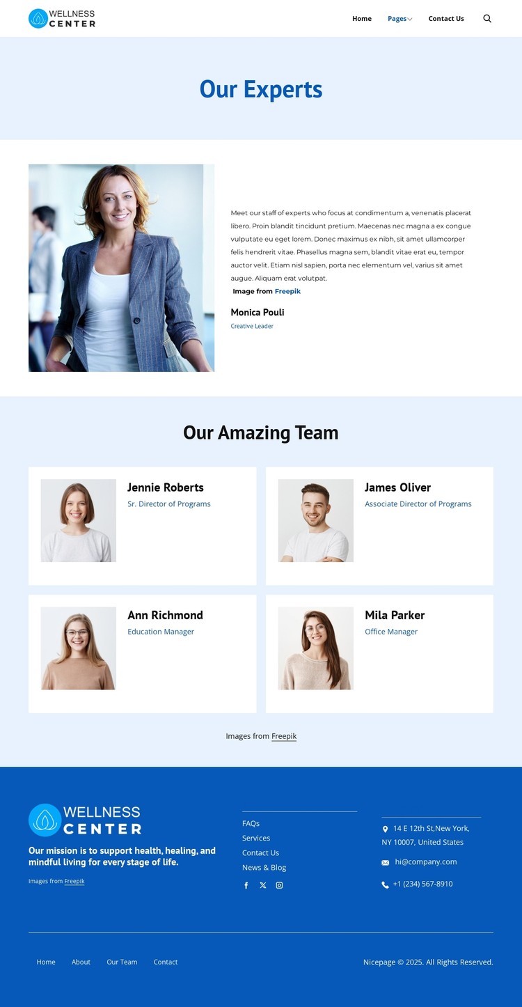 Wellness center experts CSS Template