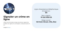 Démo De Modèle Pour Entrer Dans La Police