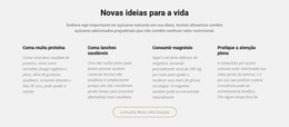 Novas Ideias Criativas Para A Vida – Site Responsivo