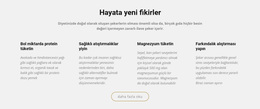 Hayata Yaratıcı Yeni Fikirler - Çok Amaçlı WordPress Teması