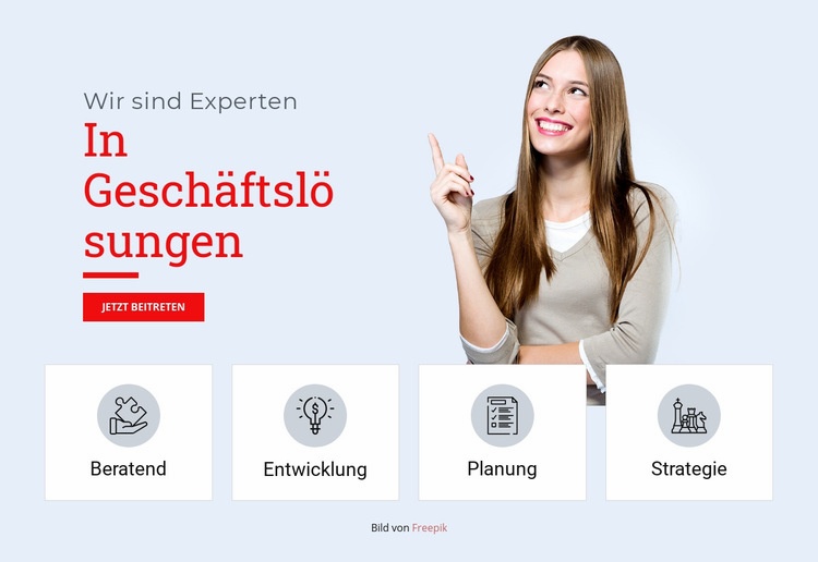 Professionelle Geschäftslösungen Website design