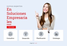 Soluciones Profesionales Empresariales Descarga Gratuita De Plantilla CSS