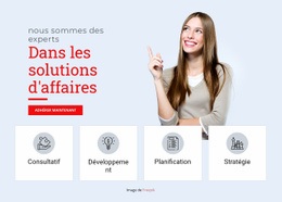 Solutions Professionnelles Professionnelles - Conception De Sites Web Réactifs