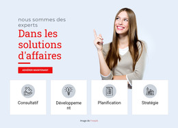 Solutions Professionnelles Professionnelles - Modèle HTML Simple