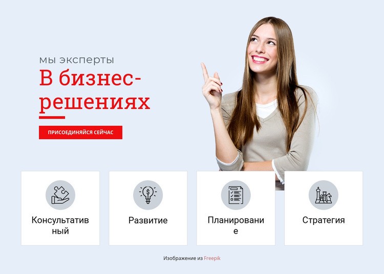 Профессиональные бизнес-решения WordPress тема