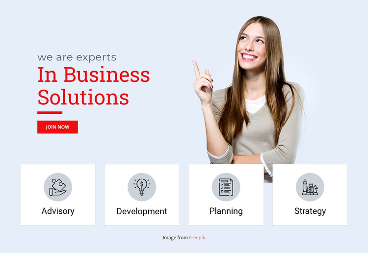 Business professional solutions Web Design