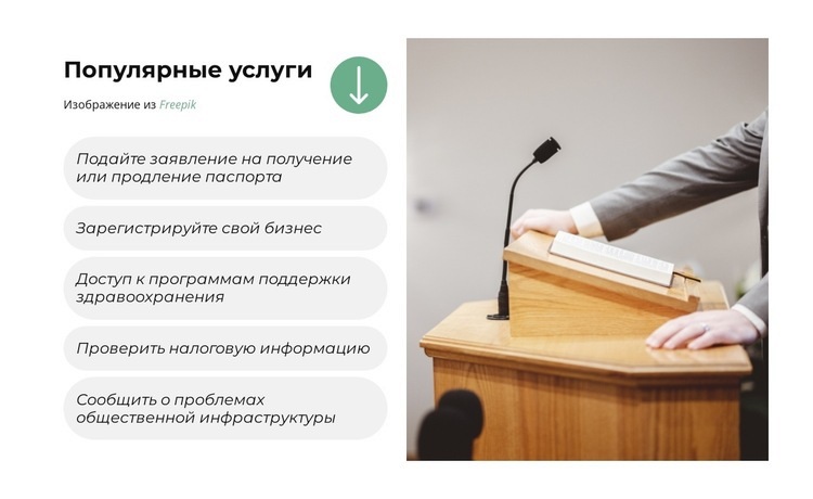 Руководство по государственным закупкам Шаблон