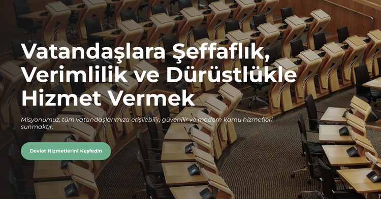 Resmi Yayınlar Web Sitesi Şablonu