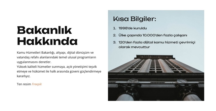 Yıllık Bütçe Raporu WordPress Teması