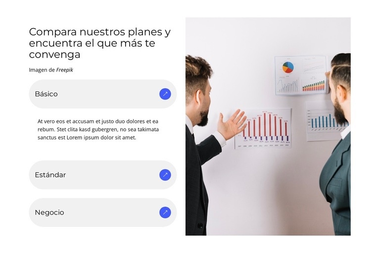 Mostrar solo diferencias Diseño de páginas web