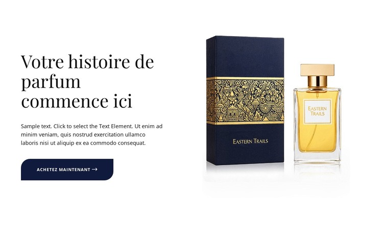 Confiance en bouteille Modèle HTML