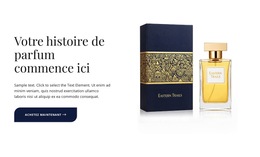 Confiance En Bouteille Modèle De Site Web