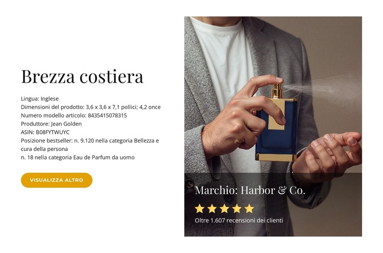 Intensità del mare fresco Modello CSS