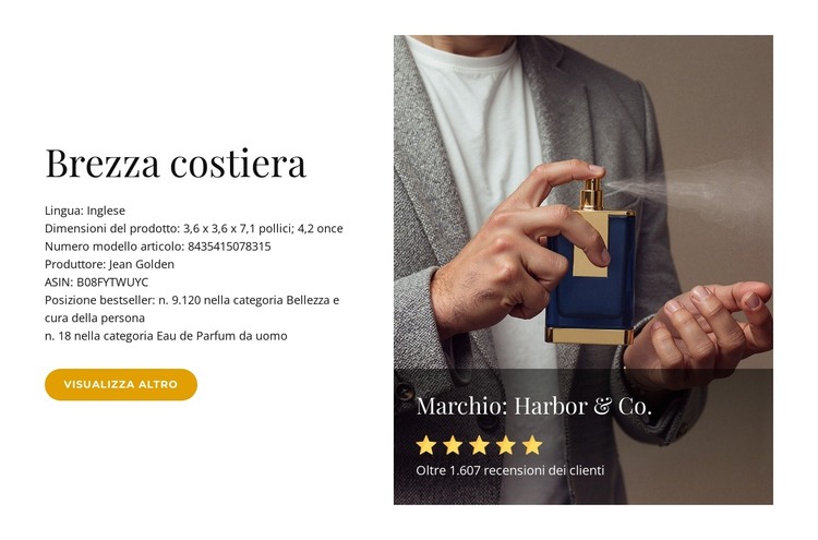 Intensità del mare fresco Modello HTML